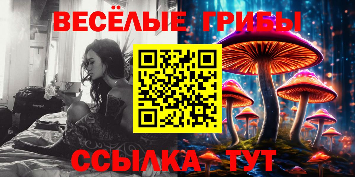 Галлюциногенные грибы Psilocybe  Вход с VPN  Волгоград 